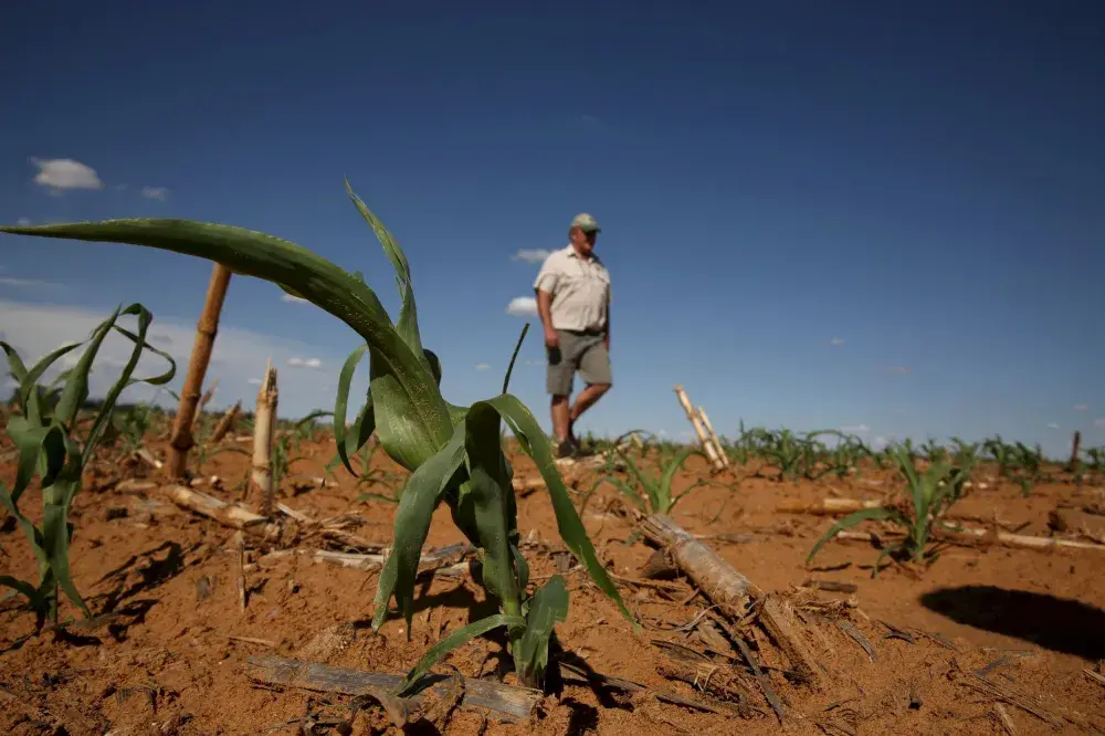 South African President Pushes to Seize Farms Without Compensation, Sparking Opposition Anger