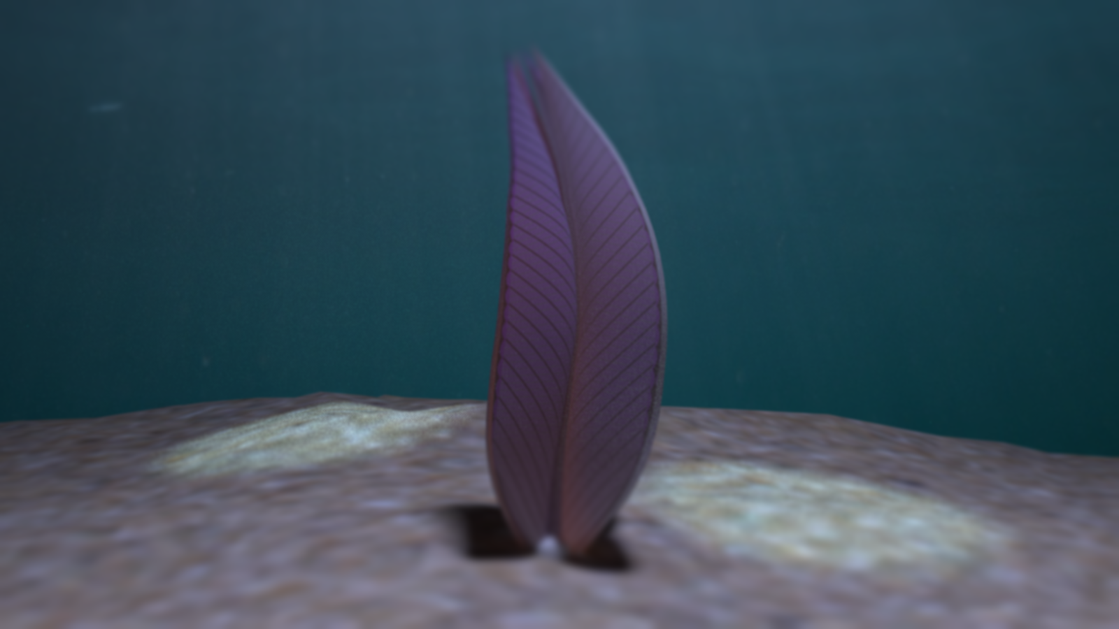 Bizarre Plant-like Lifeforms Which Lived Over 500 Million Years Ago Are  Actually Animals: Study - Newsweek
