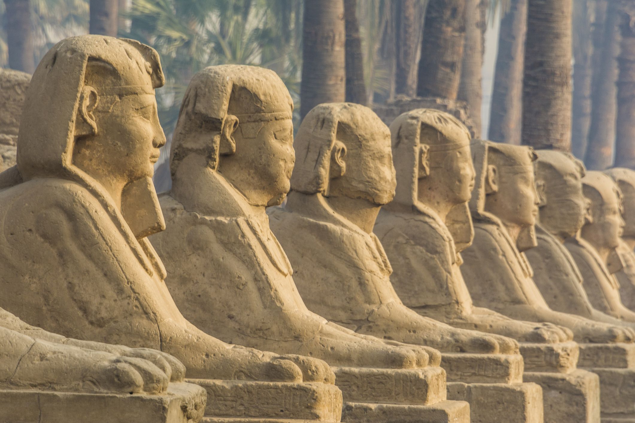1067196-8-10-sphinxes.jpg?w=