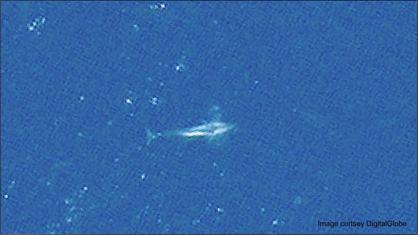 Whales From Space: Scientists Track Remote Populations Using Satellites ...
