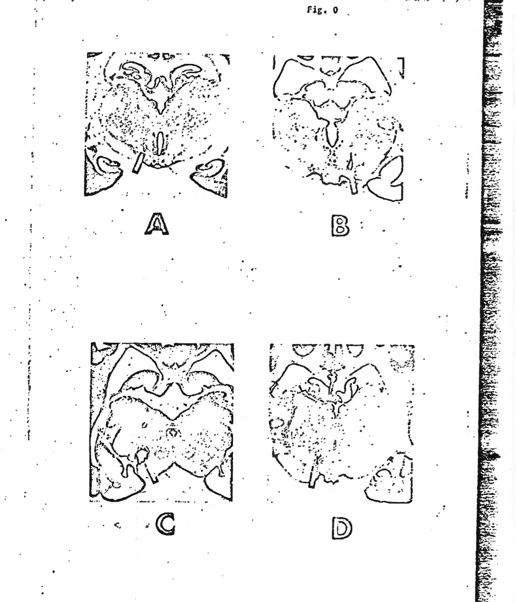dog-brain-cia-remote-control-central-intelligence