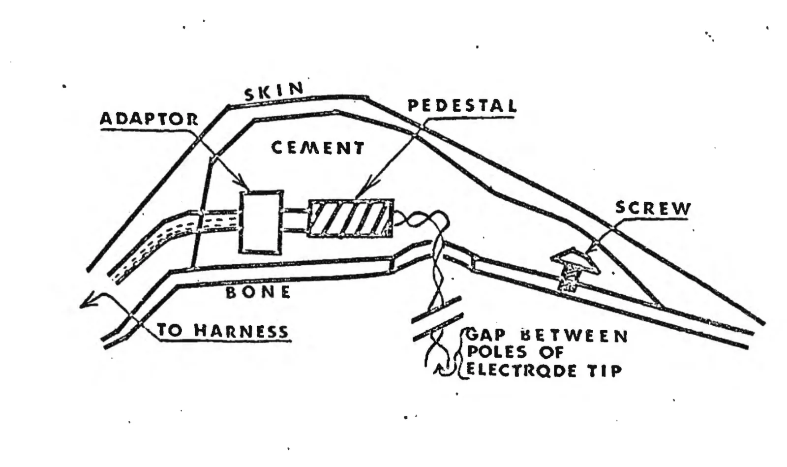 surgery-remote-control-dog-cia-mkultra