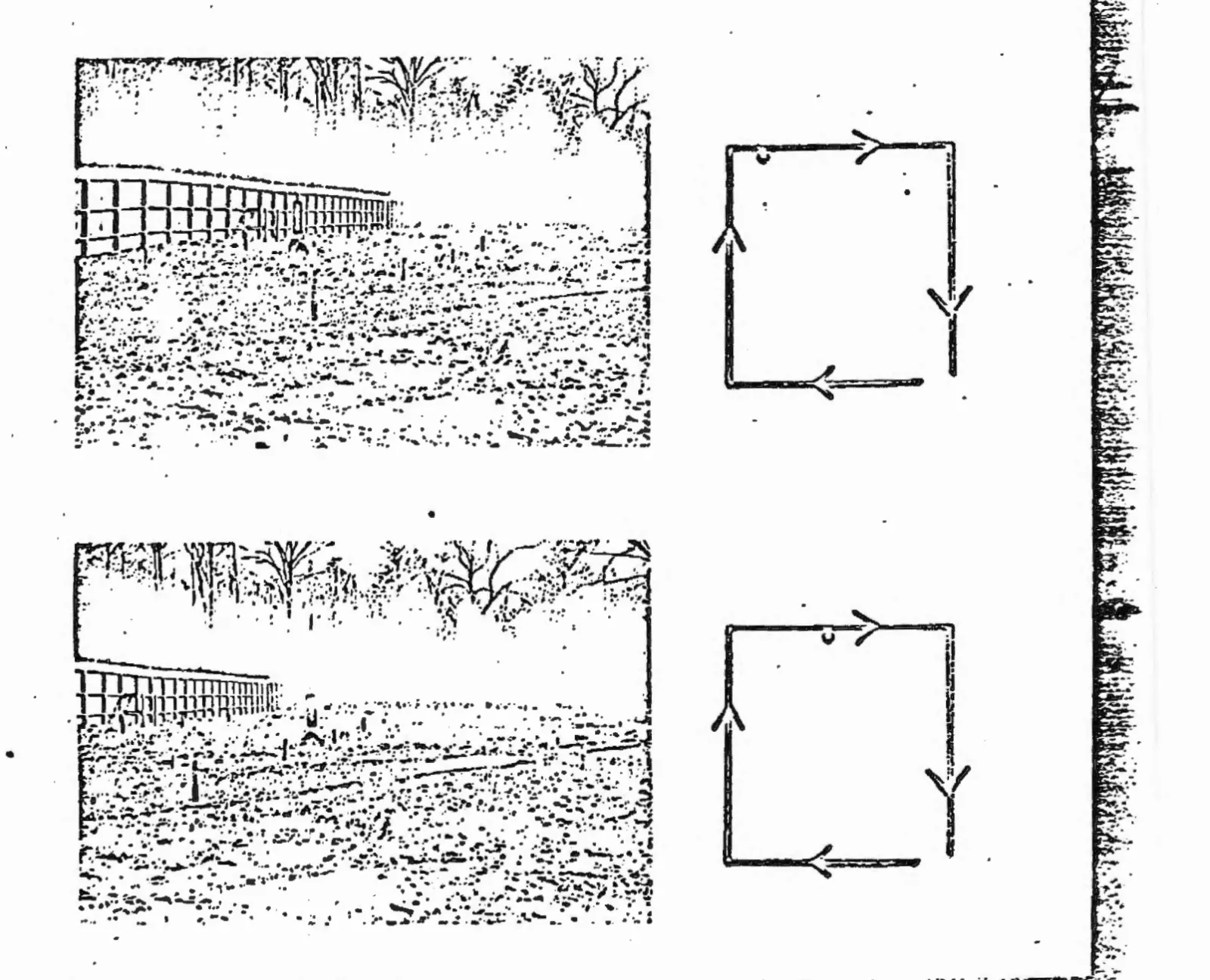 remote-control-dog-cia-pattern-2