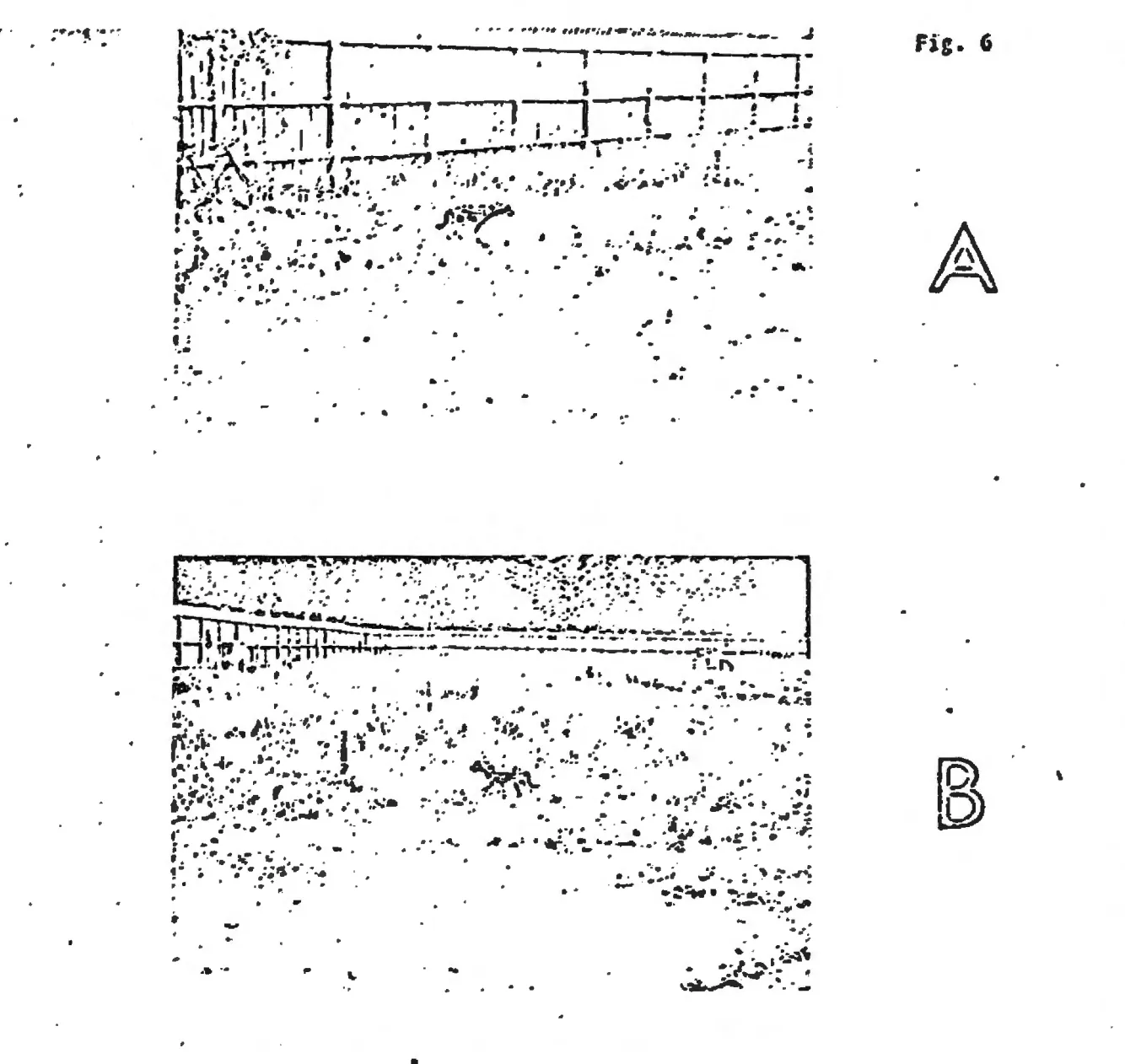 How the CIA Used Brain Surgery to Make Six Remote Control Dogs - Newsweek