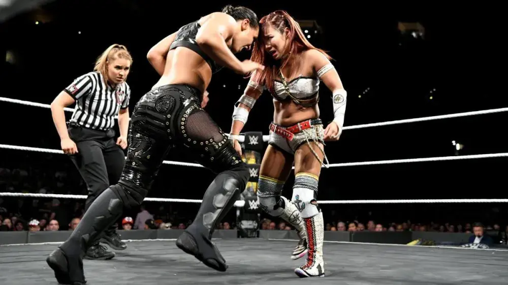 WWE’s Women Made 2018 a Year to Remember