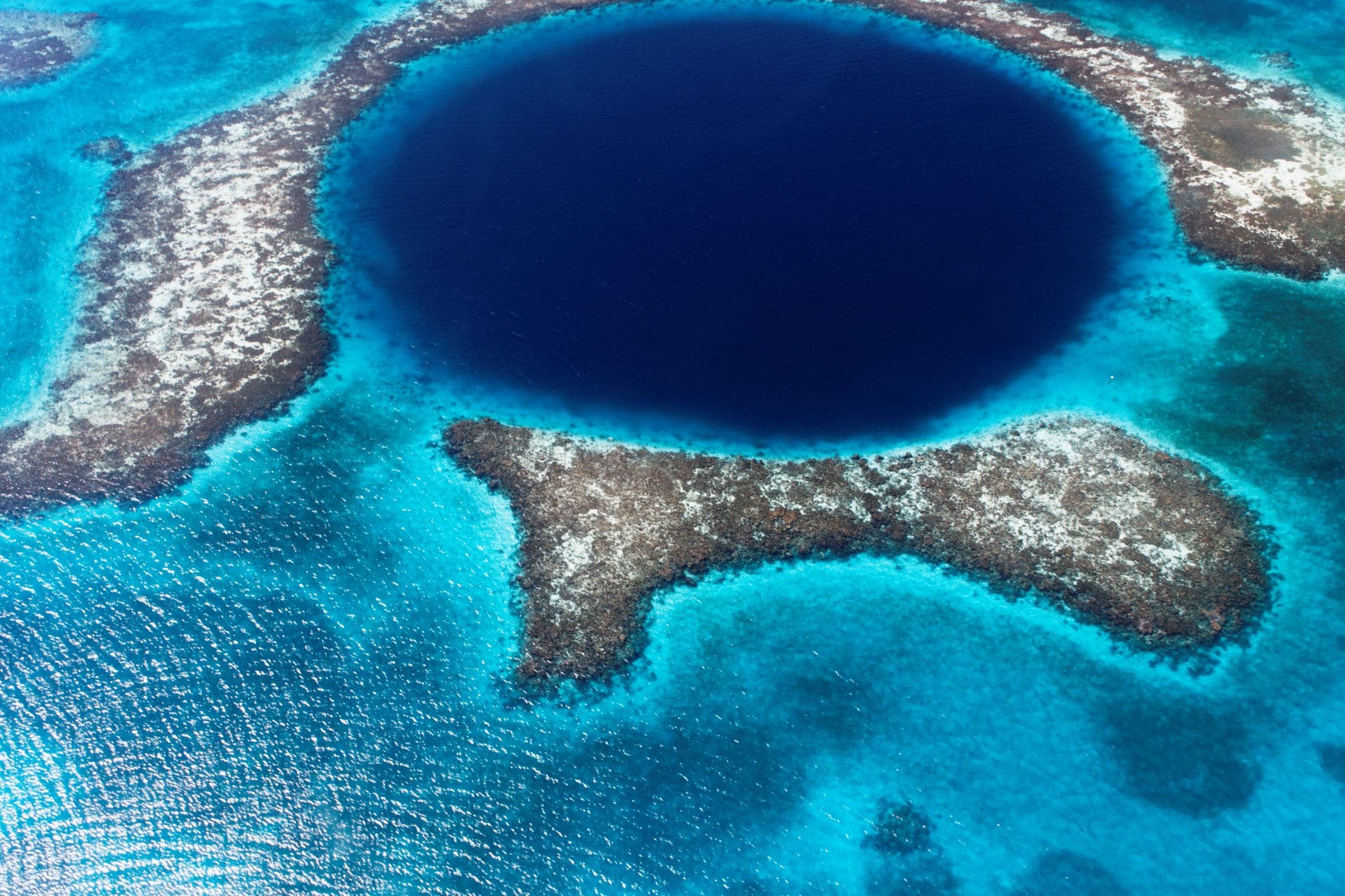 その他 Belize -  of the Famous Blue Hole [DVD] その他 Belize - Home of the Famous Blue Hole [DVD] Watch