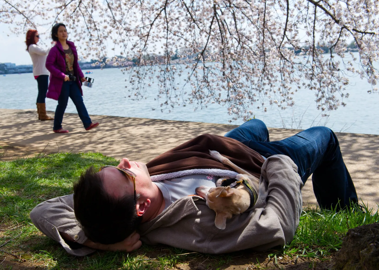 National Napping Day Monday Might Help You Adjust to Daylight Saving ...