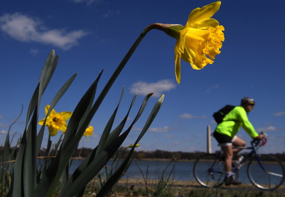 Spring Sick Spring Can Impact Way More Than Allergies, Like Sleep, Mood and Chronic ...