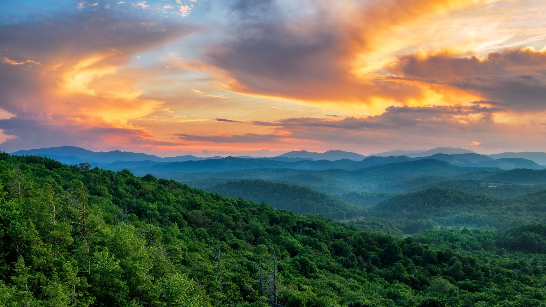 Take Me Home Country Roads: A Trip Through Appalachia - Newsweek, image size:2309x1299
