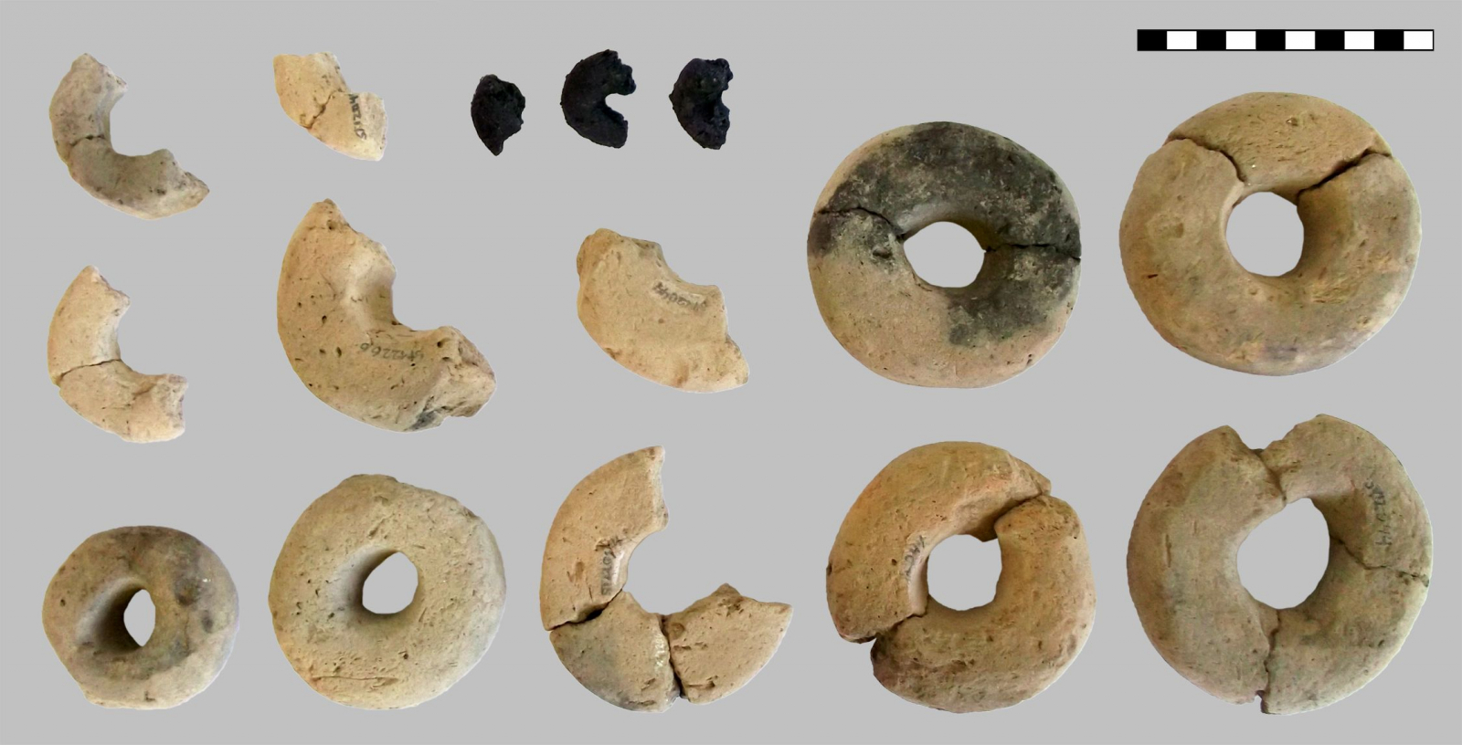 Ancient Cheerios Discovered at Bronze Age Site Might Have Been