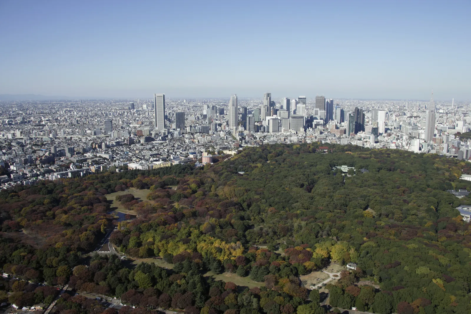 公の場での発言・インタビュー報道記録