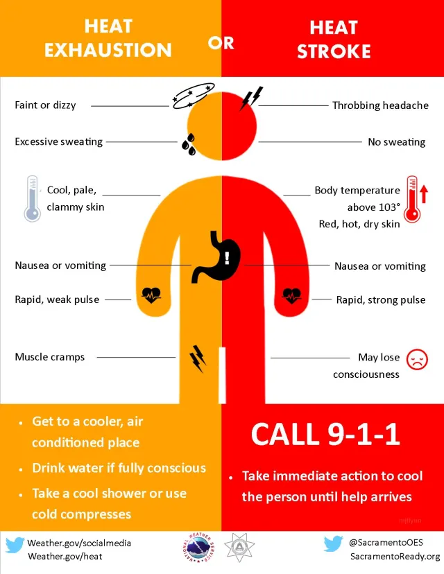 heat exhaustion vs heat stroke heat wave