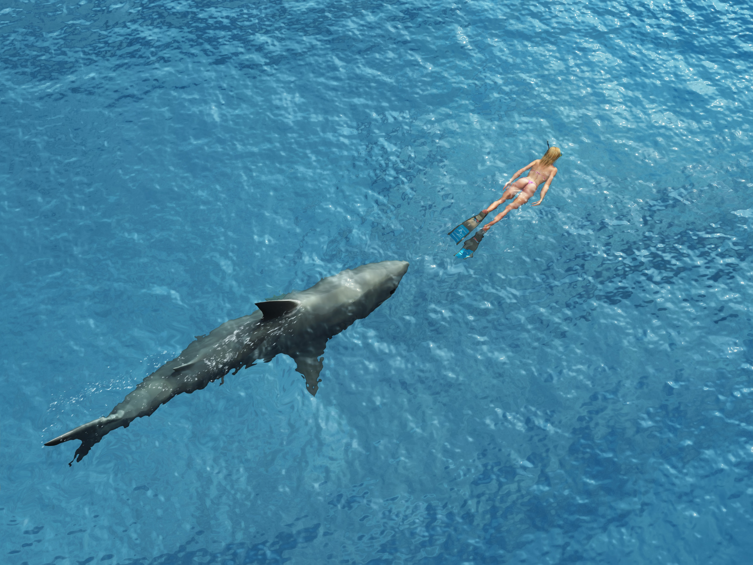 Shark Attacks at Beach Named 'Shark-Bite Capital of the World' Up