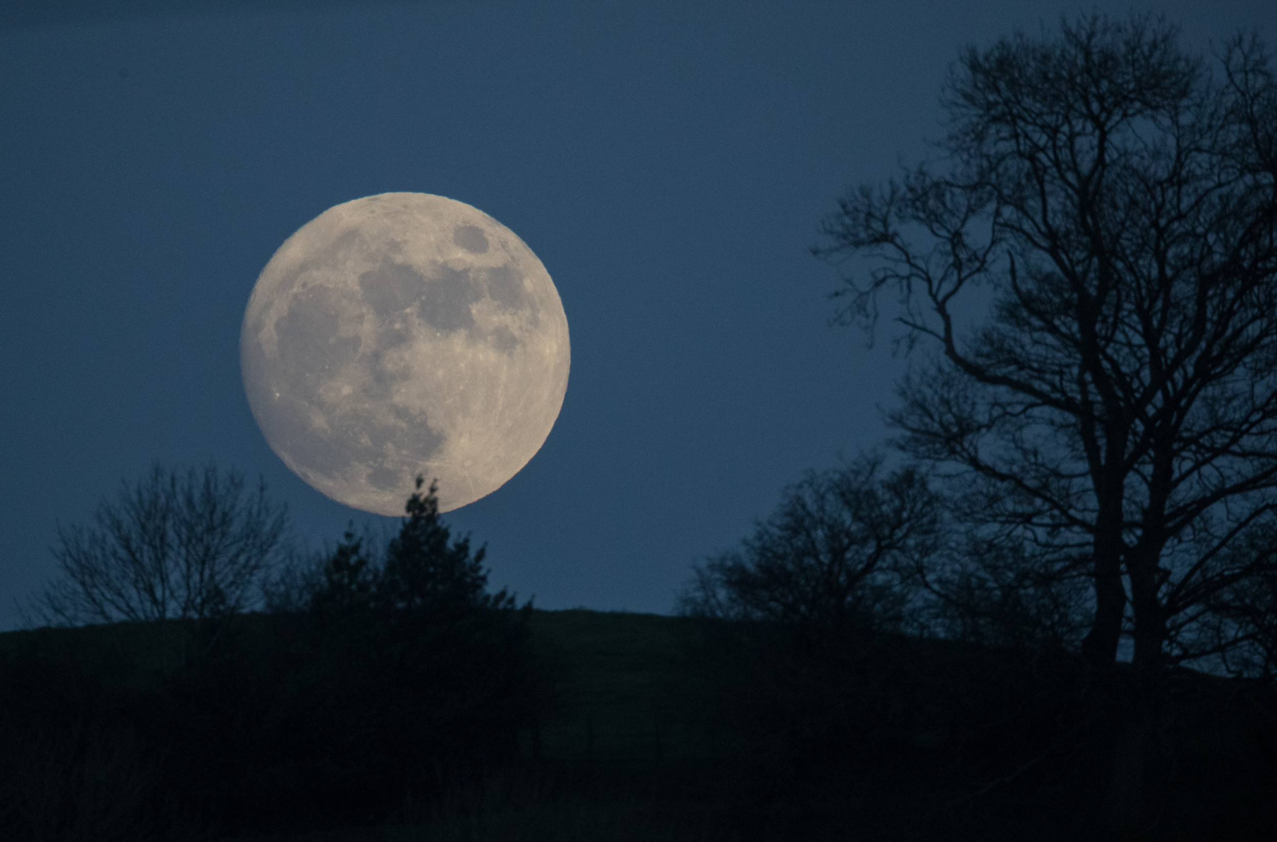 Full Wolf Moon Eclipse: First Full Moon of 2020 to Rise This Week