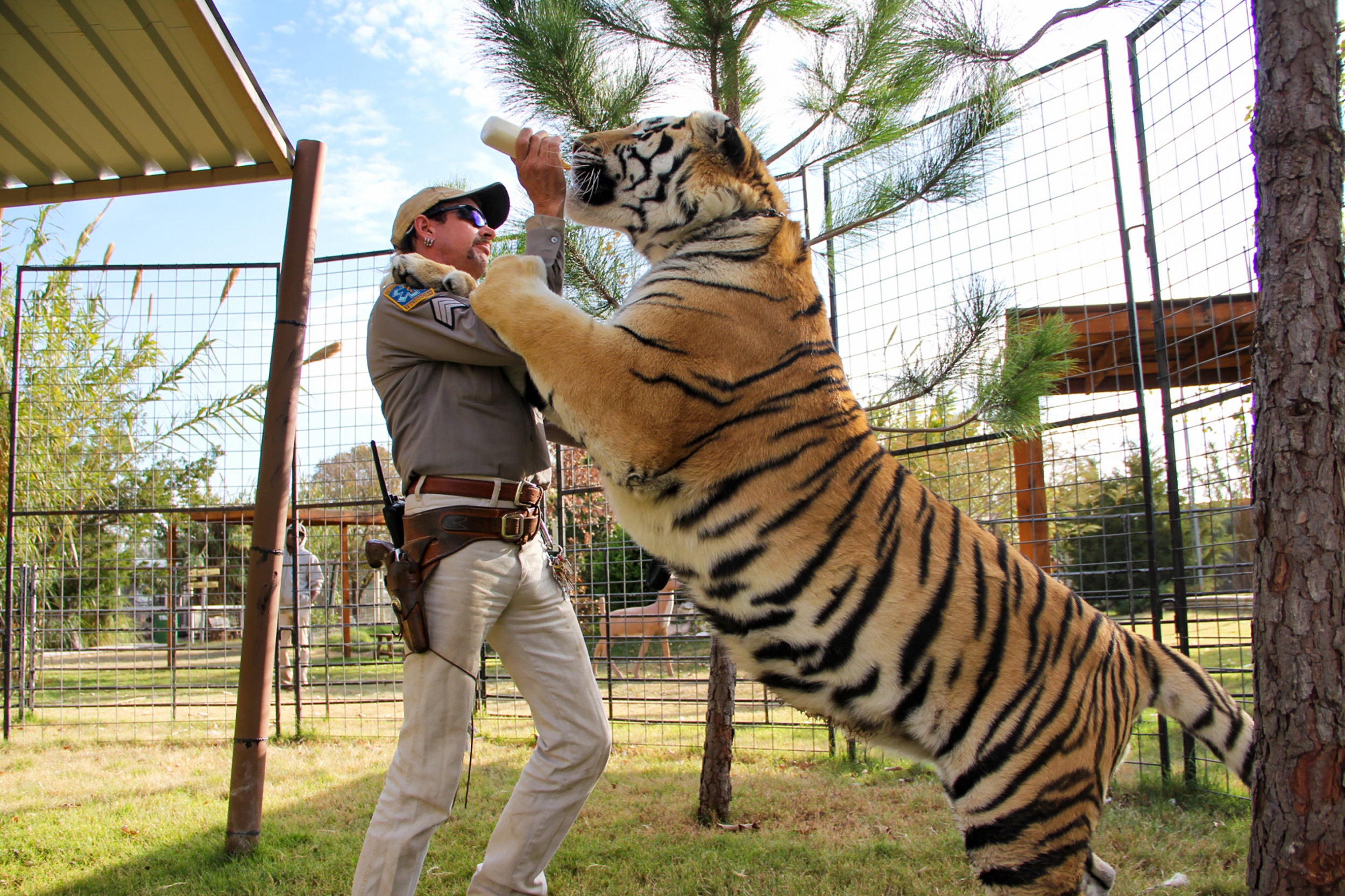 Tiger King' Zoo Under Investigation After Photos Showing Injured