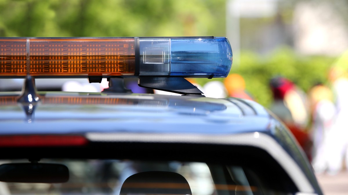 Florida Man Arrested After Allegedly Slapping Woman and Yelling: ‘I’m a ...