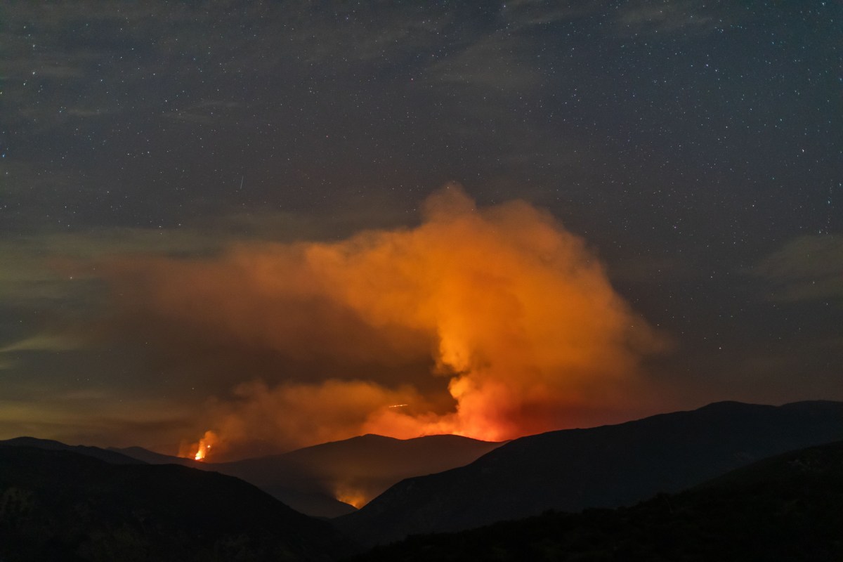 What Is a Firenado? Rare ‘Fire Tornado’ Burns Over 36,000 Acres in ...