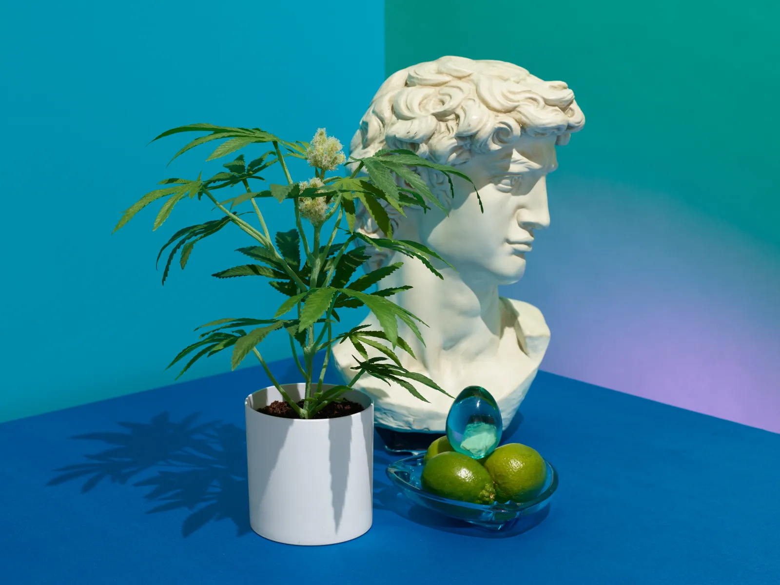 This Fake Plant Company Wants to Add Faux-Cannabis to Your Houseplant  Collection - Newsweek