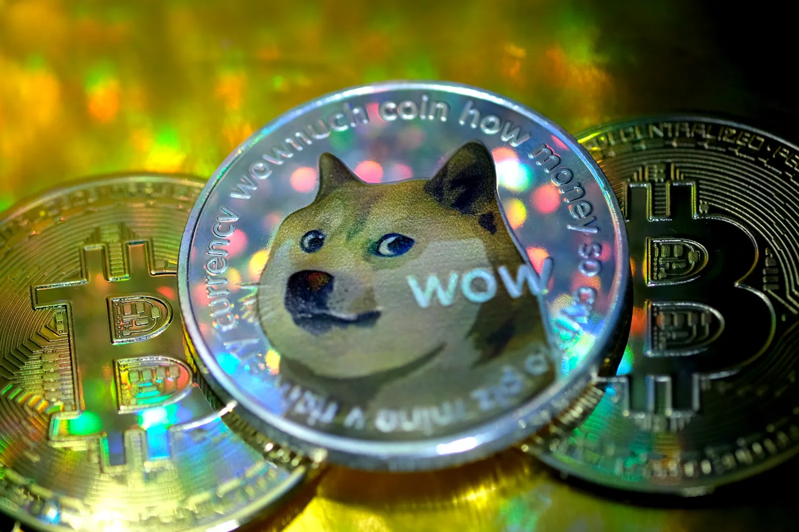 Exclusive: Dogecoin Investor Becomes Millionaire After Putting Life Savings  Into Meme Crypto - Newsweek