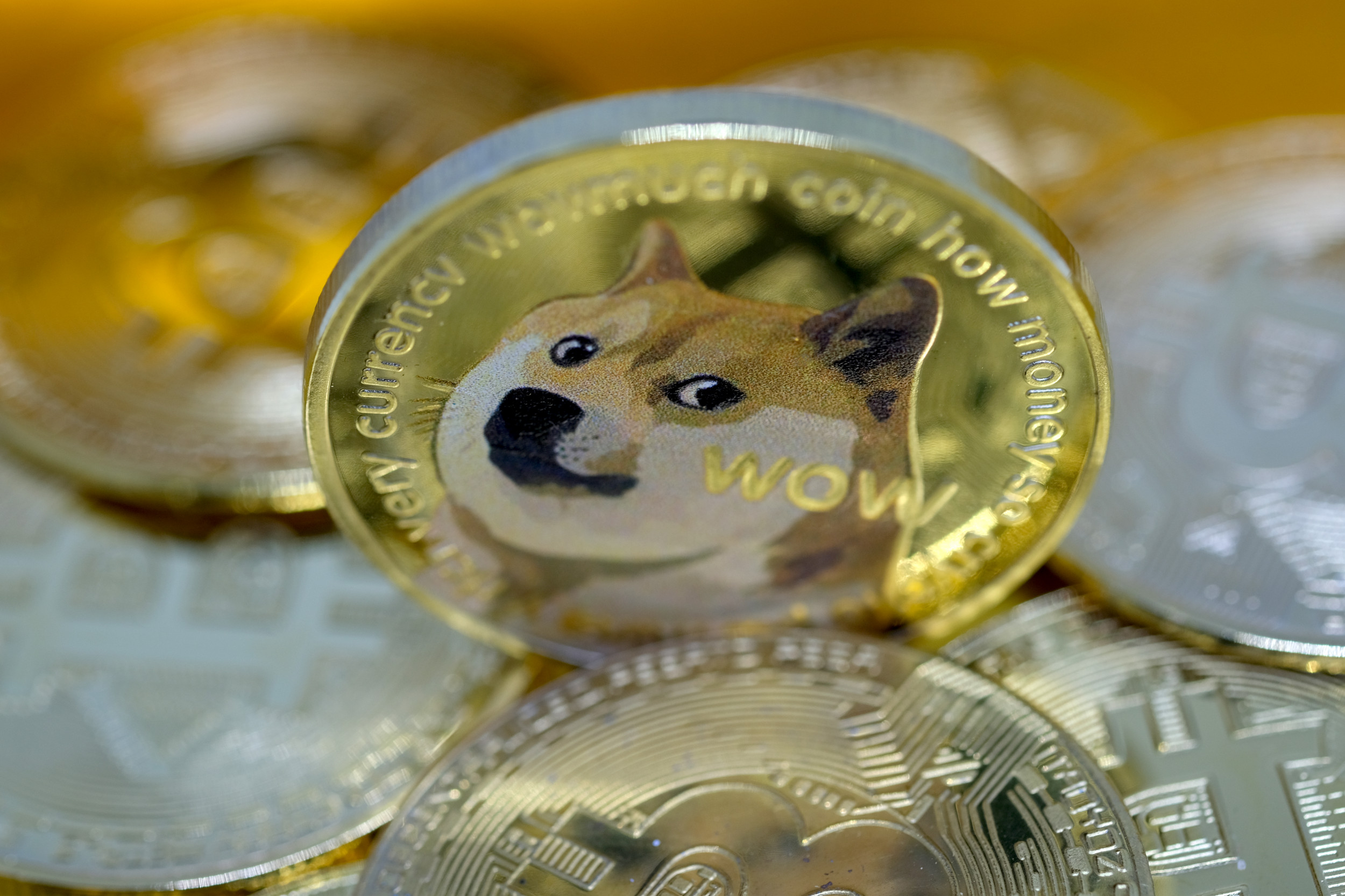 Dogecoin Now Worth More Than General Motors as Cryptocurrency Skyrockets -  Newsweek