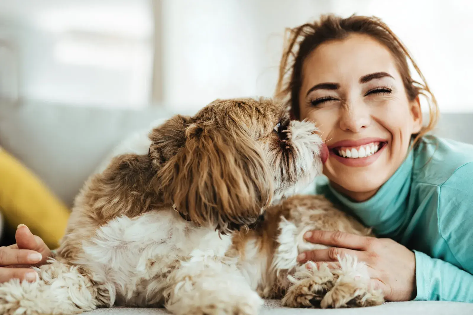 How To Teach Dog To Smile: Easy Steps for a Happy Pup