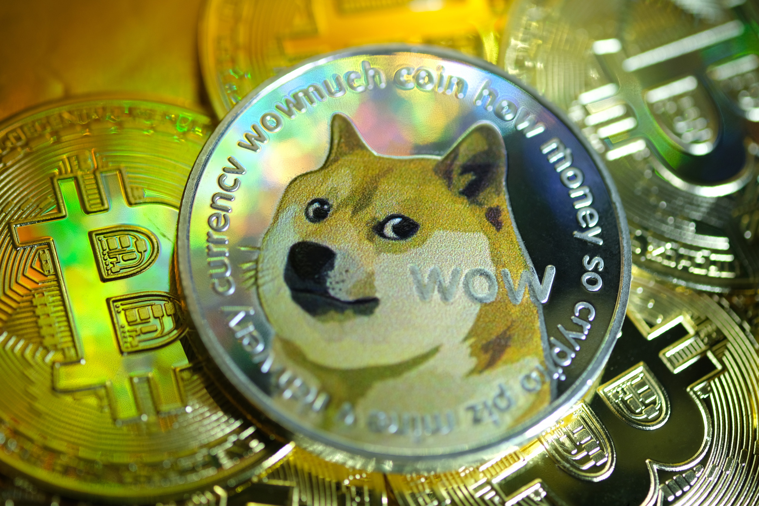 How to Buy Shiba Inu Coin as Price of Dogecoin Rival Skyrockets - Newsweek