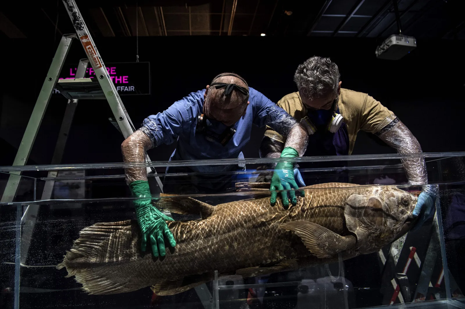 ‘Extinct Fossil Fish’ Dating Back 420 Million Years Found Alive in ...