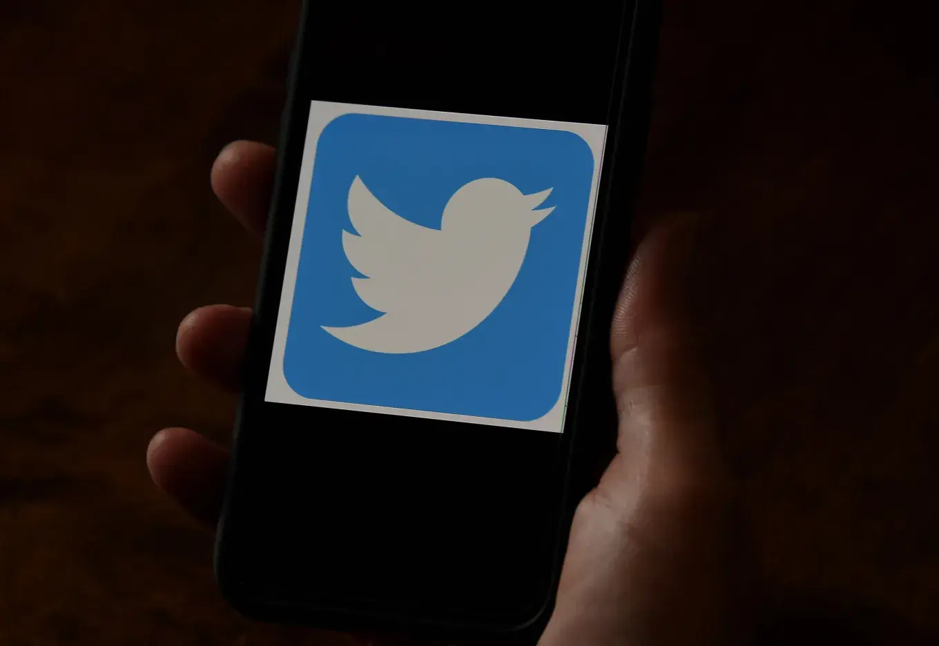 Twitter Logo On a Mobile Phone