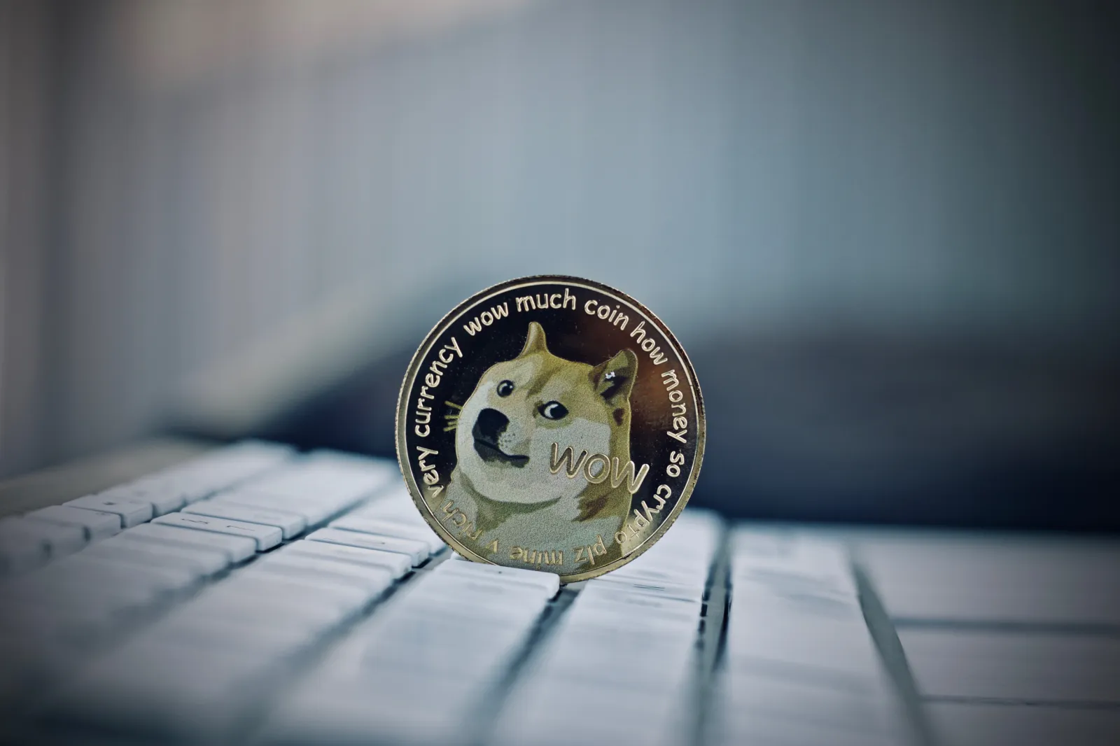 Dogecoin Spikes 5% After Coinbase Announces It Will Support the  Cryptocurrency - Newsweek