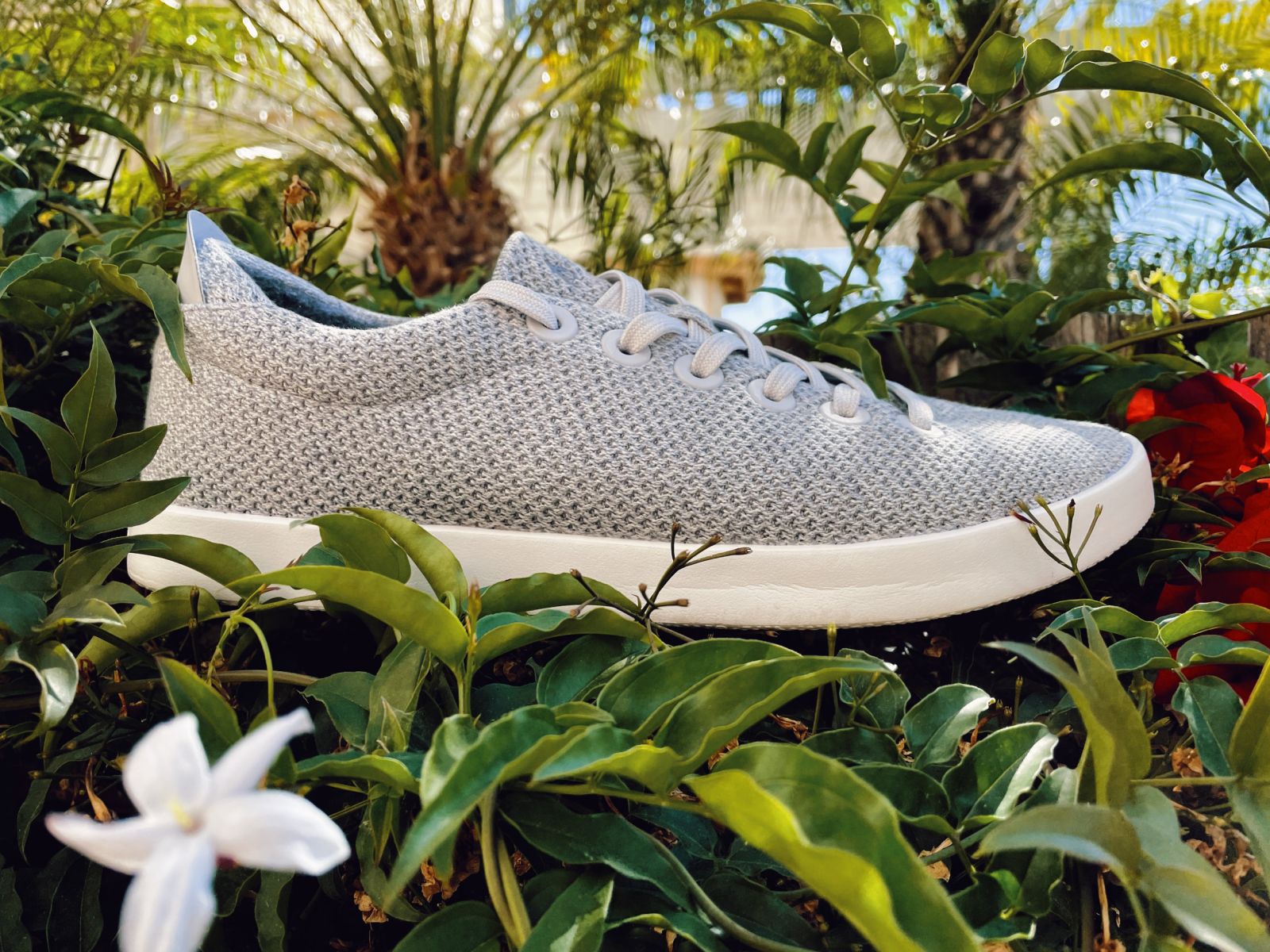 Allbirds Tree Pipers Review: Truly Comfortable, Casual and  display picture 1