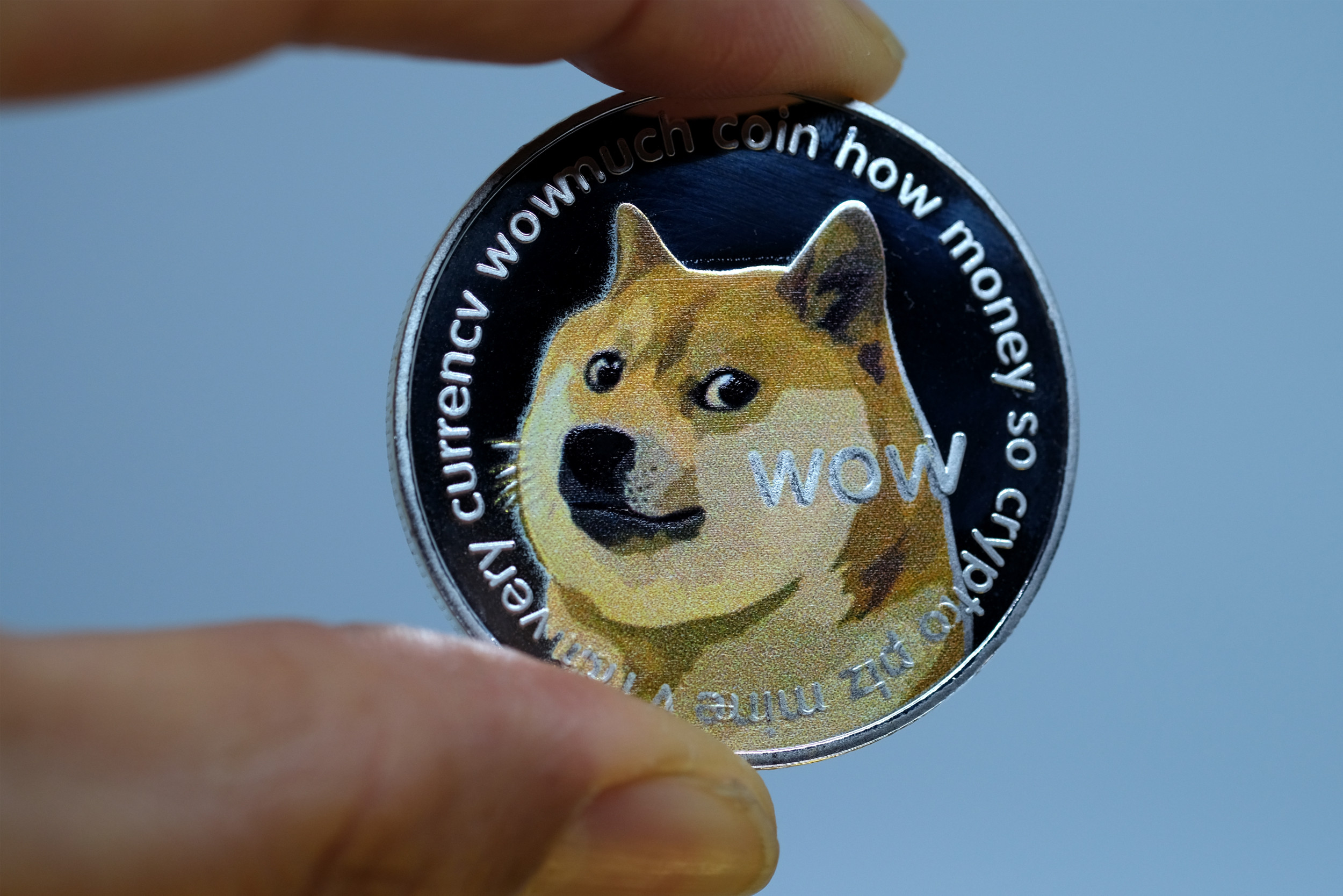 Why Coinbase Dogecoin Sweepstake Winners Haven't Been Announced