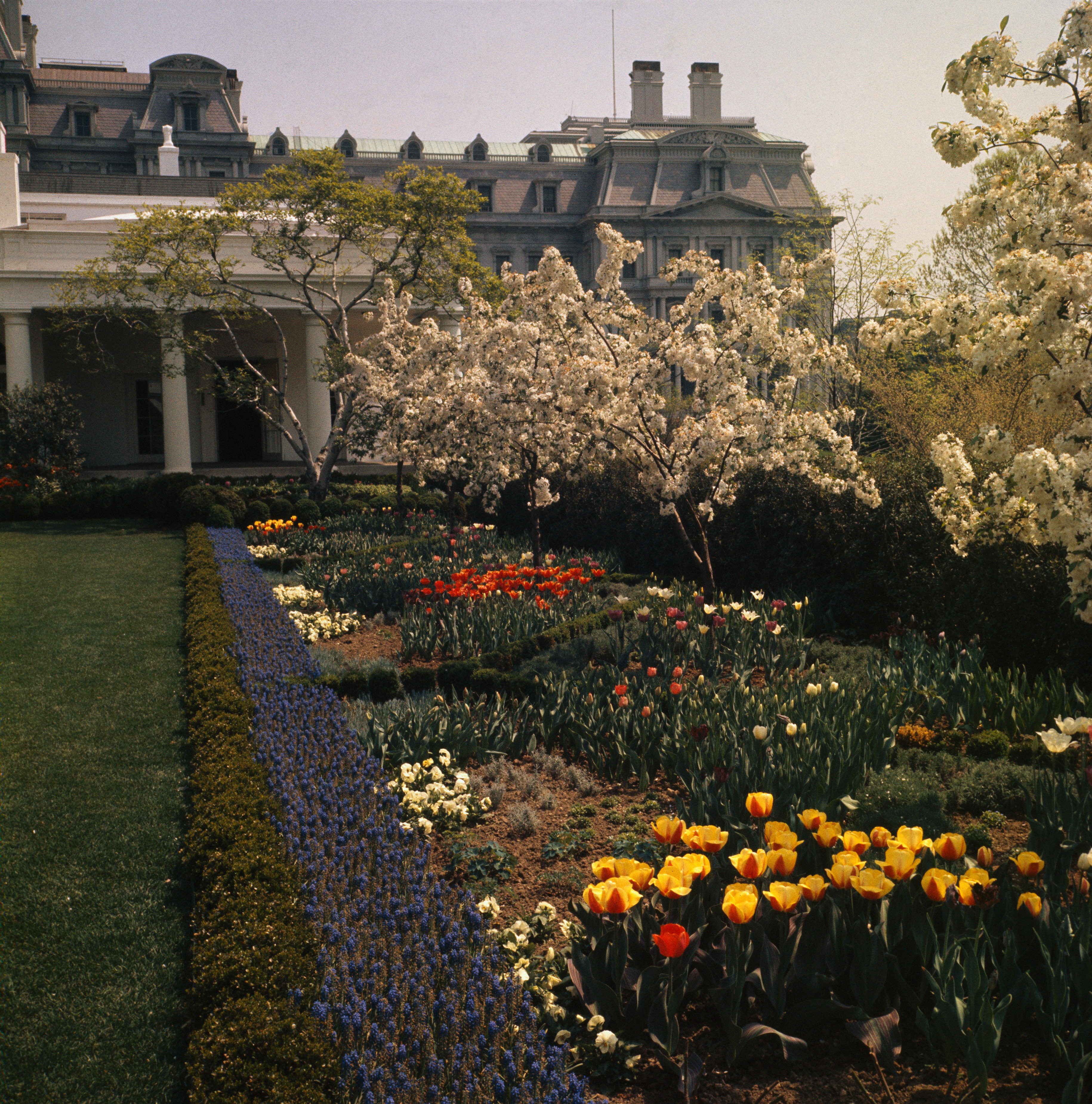White House Rose Garden Over 60 Years—Pictures From 1961 to 2021