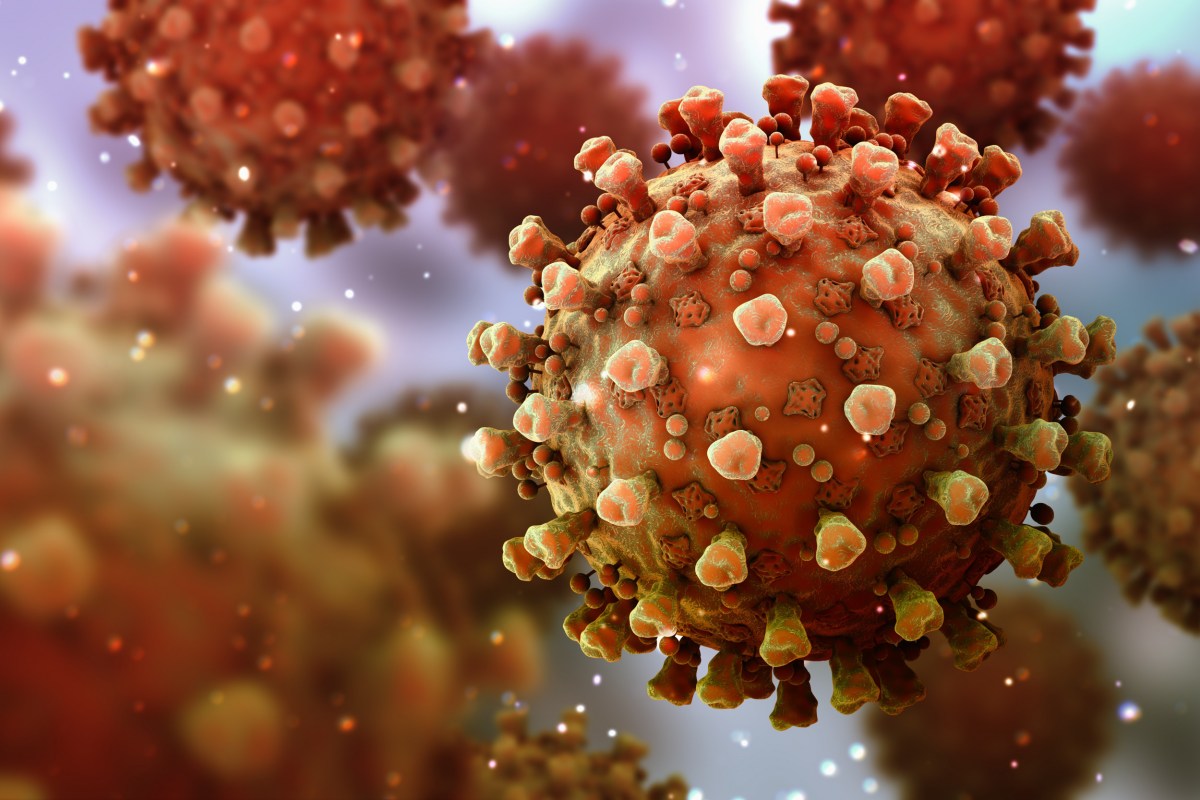 How Contagious Are Chickenpox, Measles As CDC Document Reveals Delta ...