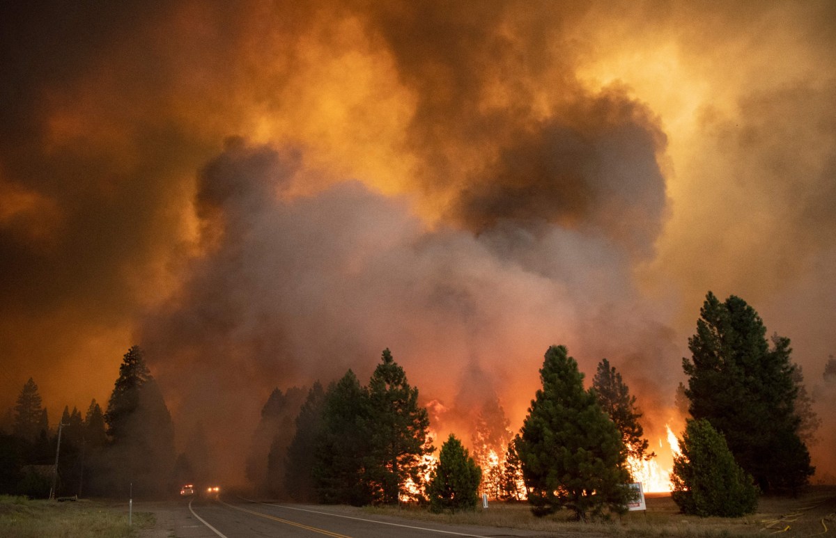 Dixie Fire Grows 50k Acres Overnight Becomes 6th Largest Wildfire In
