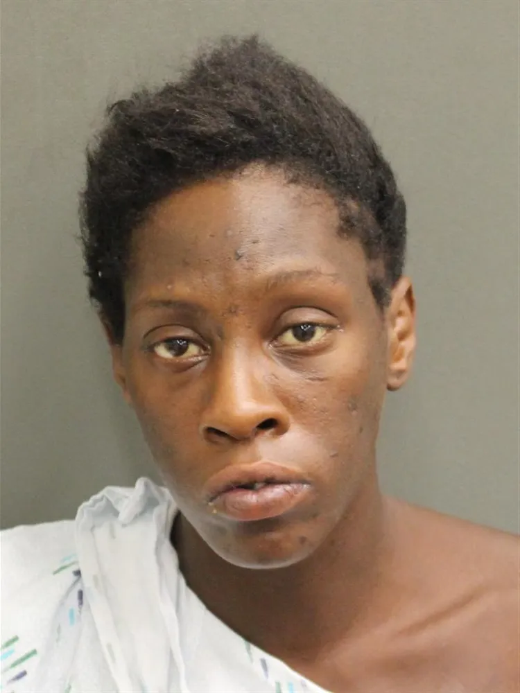 Florida Woman Accused of Repeatedly Pushing Baby in Stroller Into ...