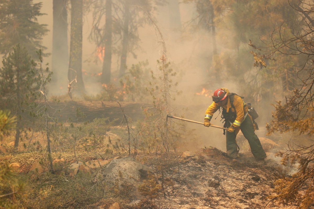 Wildfire Smoke Linked to ‘Disturbing’ Increase in COVID-19 Cases and ...