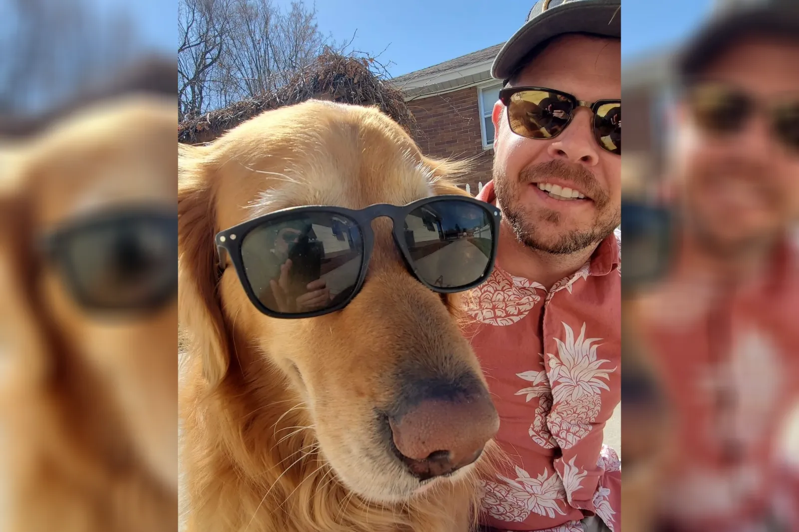happy dog tiktok