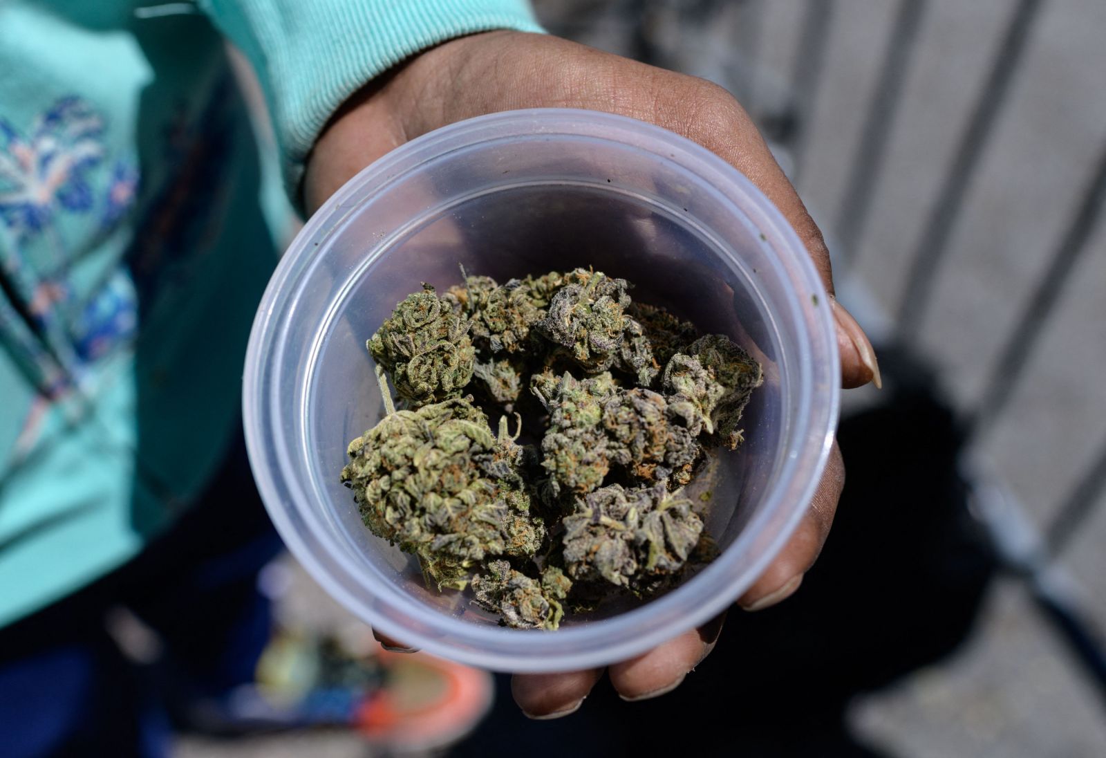 Florida Marijuana Activists Push for Legalization on ’22 Ballot ...
