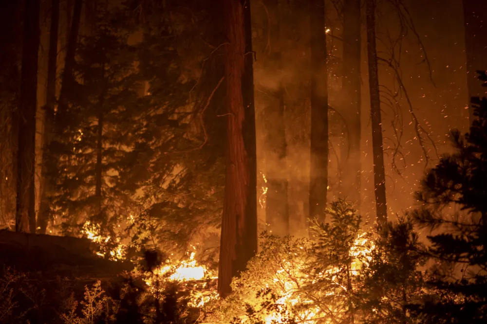 Woman Suspected of Starting Fawn Fire That Has Burned 25 Structures ...