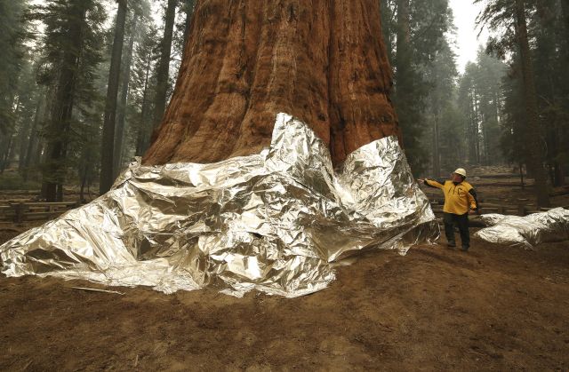 Woman Suspected of Starting Fawn Fire That Has Burned 25 Structures ...
