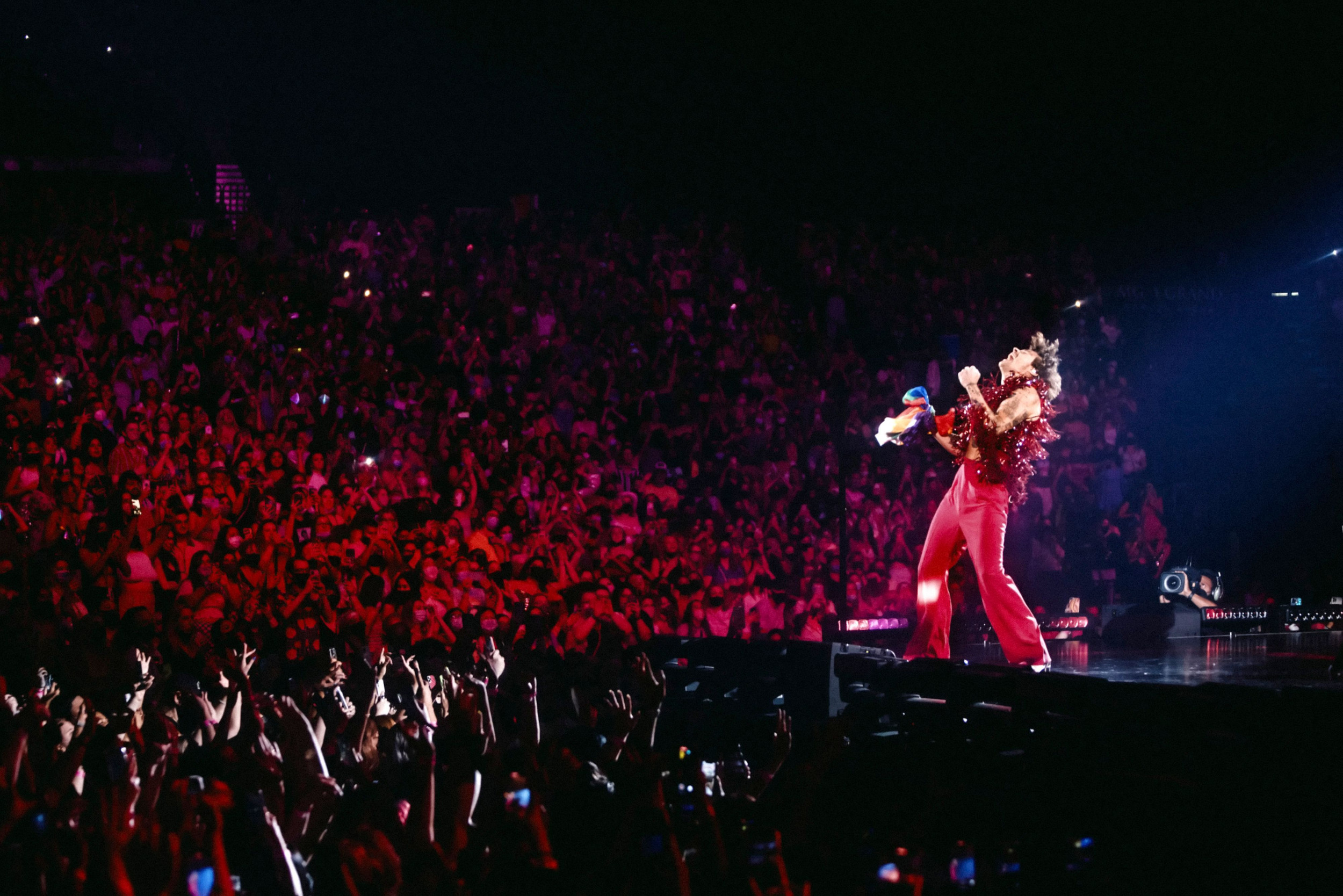 5 Moments From Harry Styles' Tour Fans Have Gone Wild Over - Newsweek