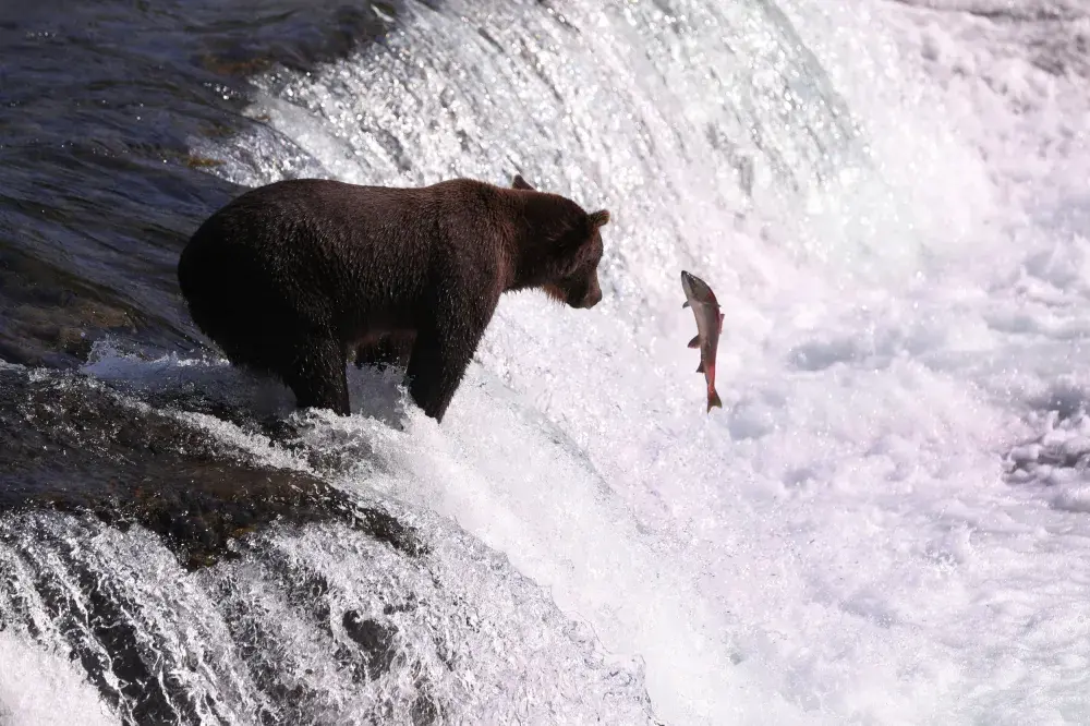 The 5 Best States for Fishing (and the 5 Worst)