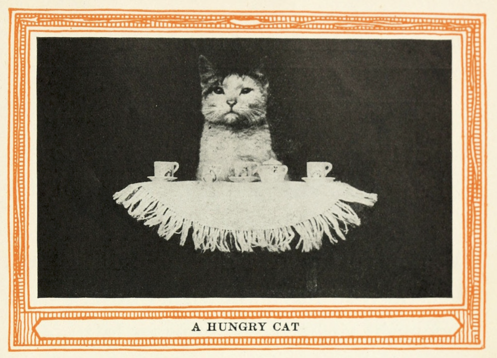 Screaming Black Cat Rocky - Limited Edition Print on Antique Vintage D