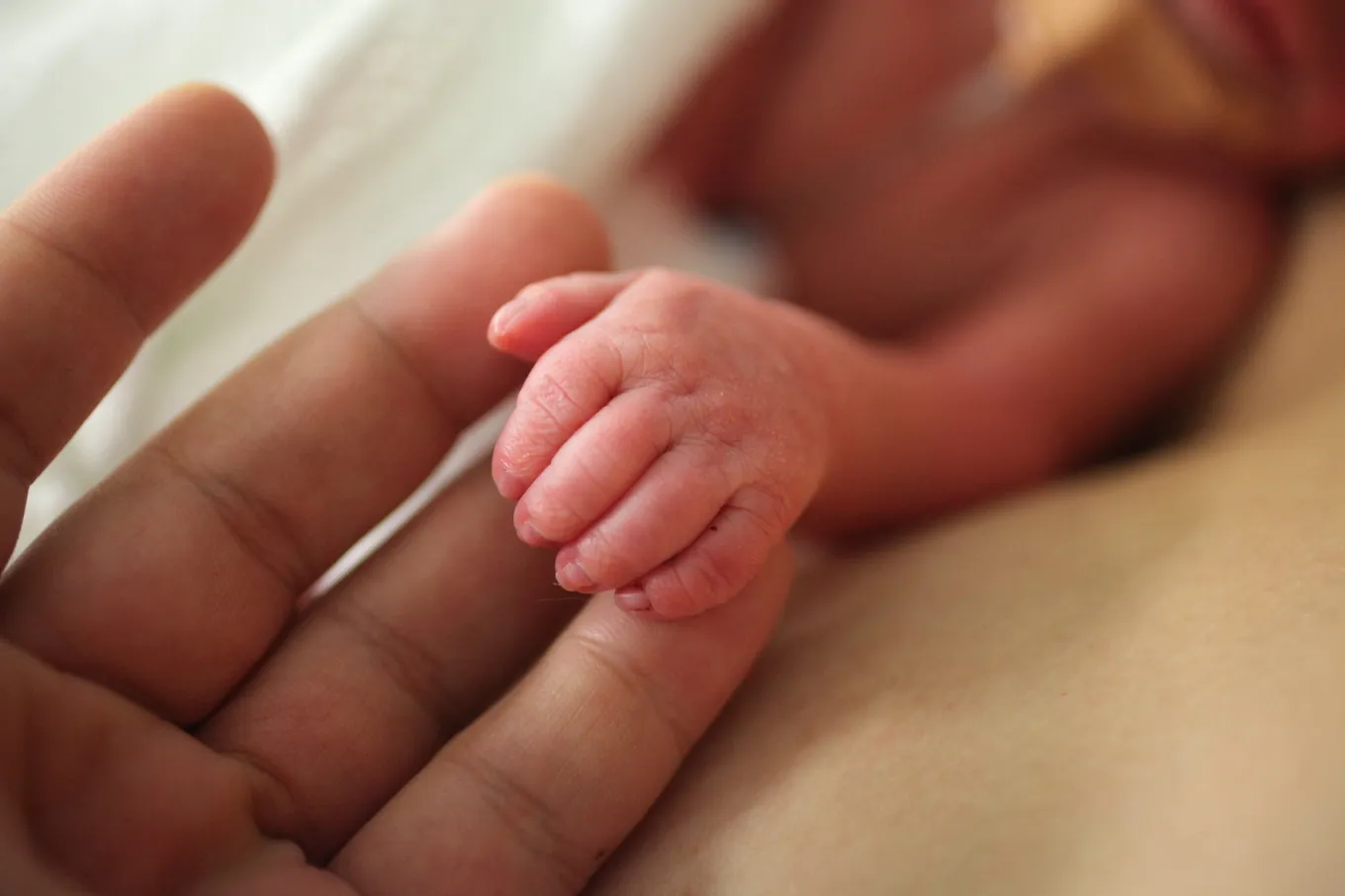 Mother Charged in the Death of Her Newborn, Which Was Found Abandoned ...