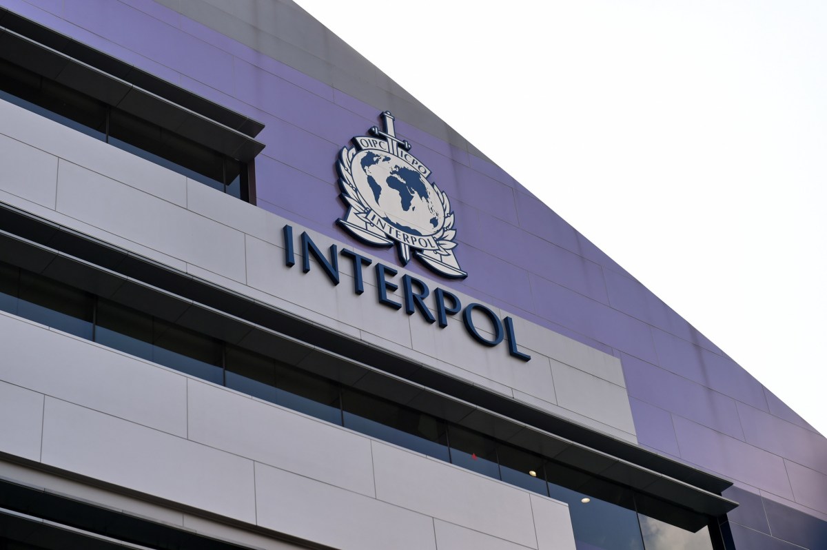 Intpol Interpol Elections Shine Harsh Light on Authoritarian Regimes - Newsweek
