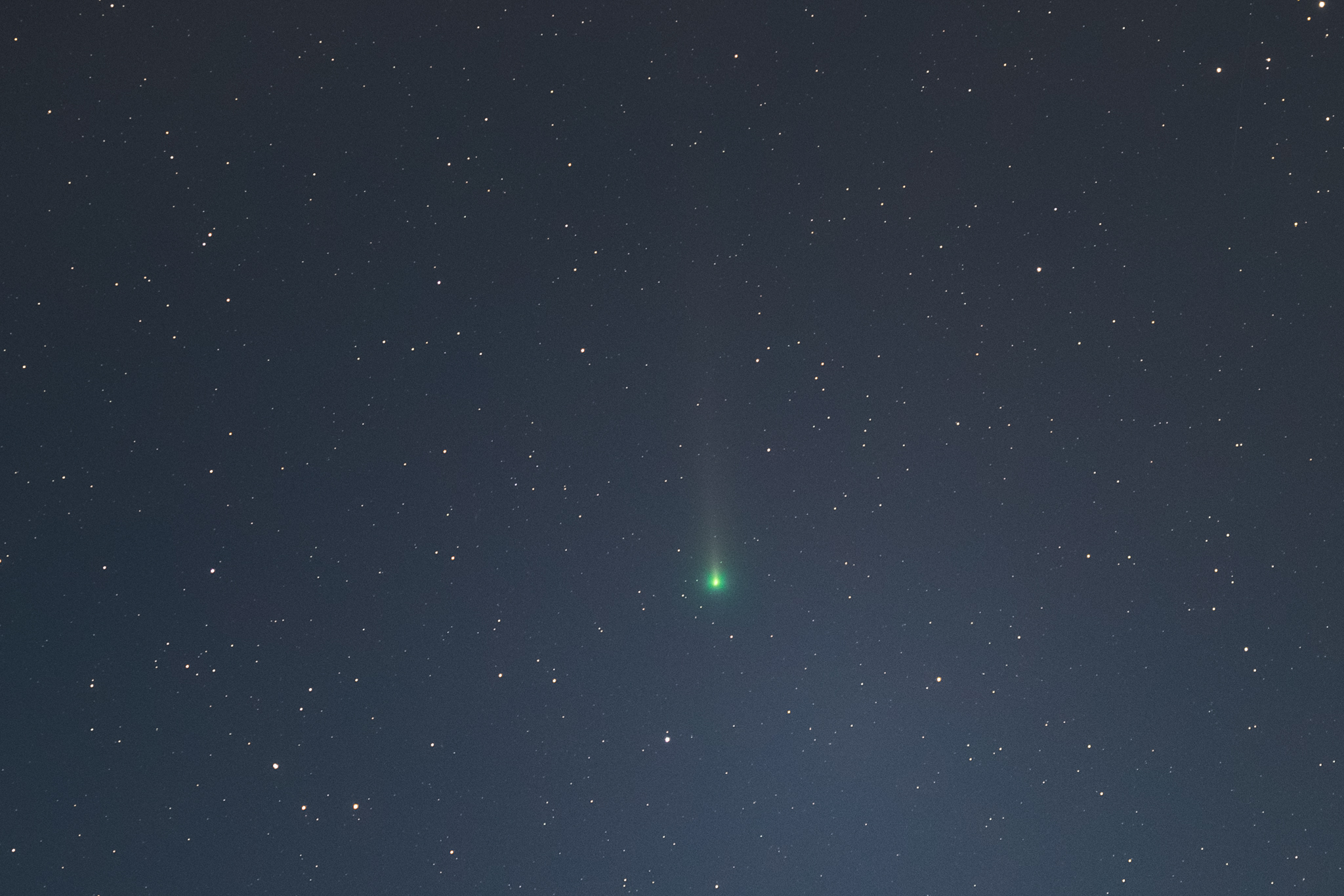 1948554-comet-leonard.jpg?w=