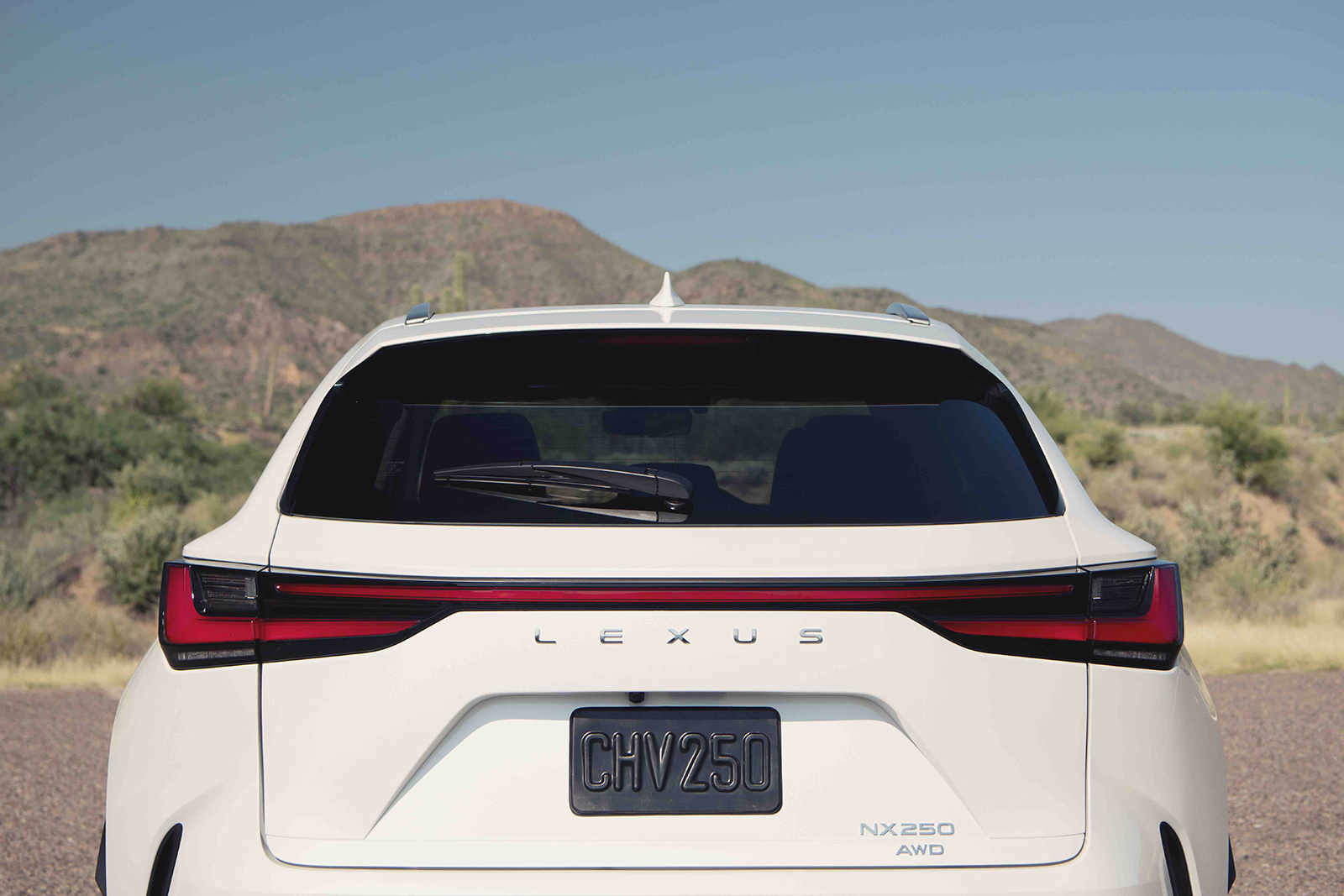 2022 Lexus NX Review: Pick Your Posion – With Mixed Results - Newsweek