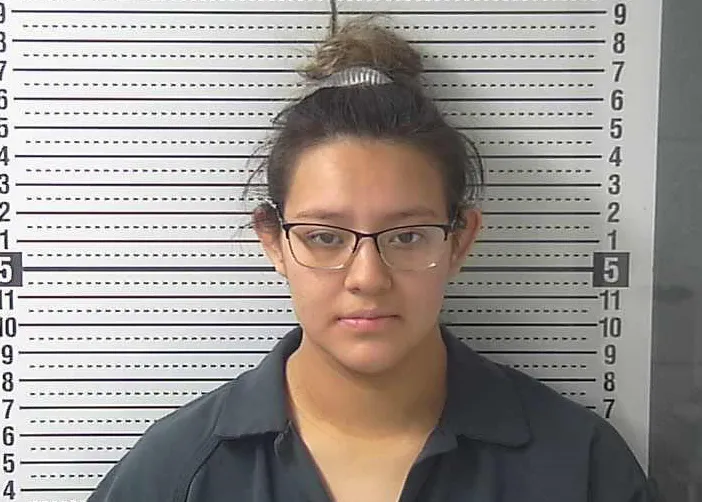 18-Year-Old Accused of Leaving Newborn in Dumpster Gets House Arrest ...