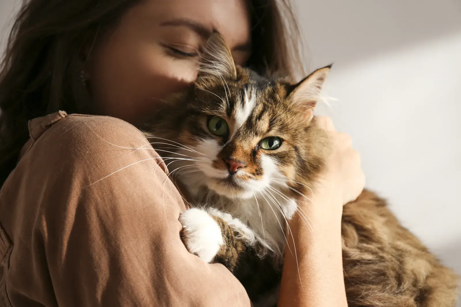 Do Cats Prefer Female Owners? Scientific Study Reveals Surprising Truth