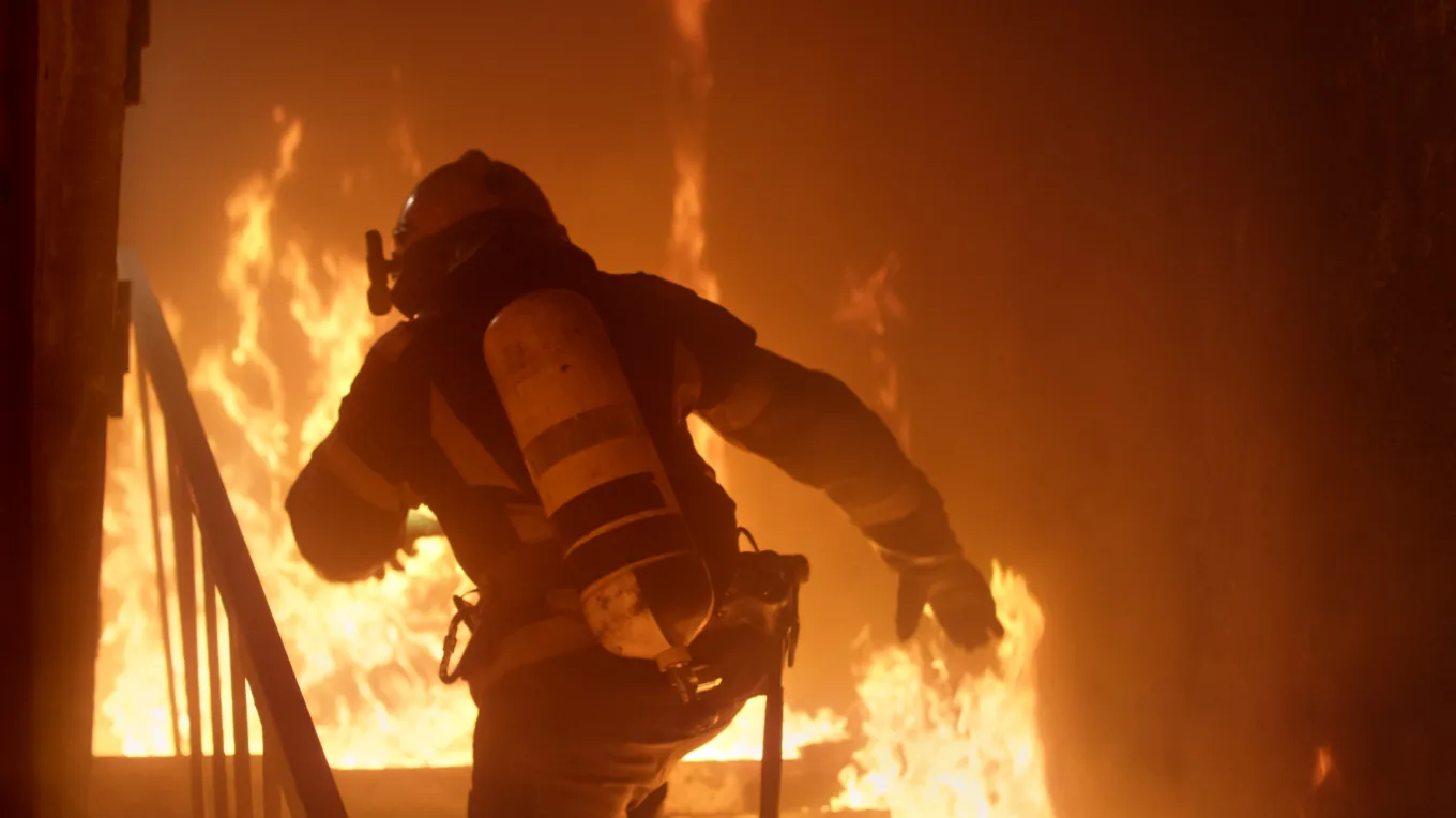 Man Dies Trying to Rescue Family Dog From Burning Home - Newsweek